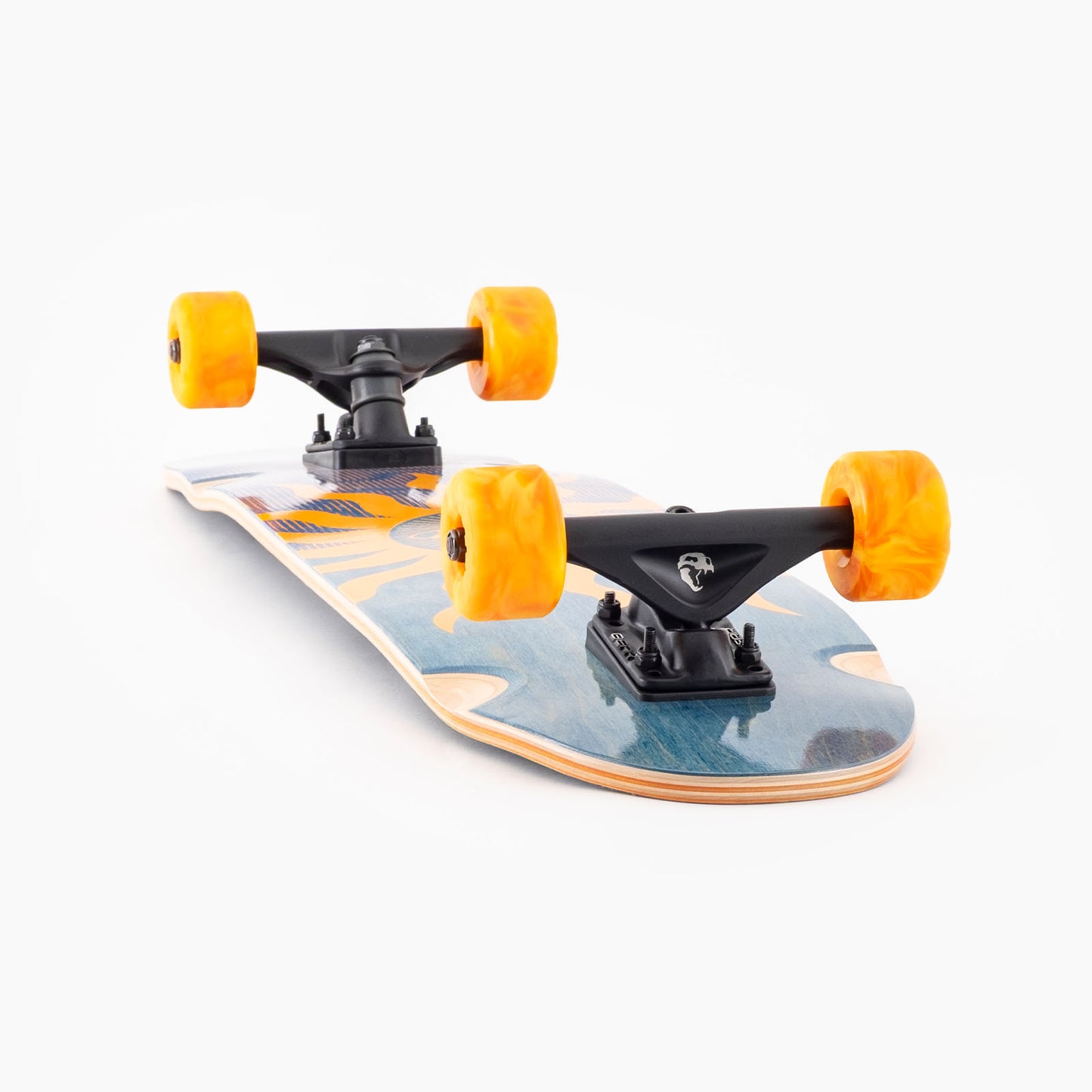 LANDYACHTZ - Rally kitty Sun Jam - Completa