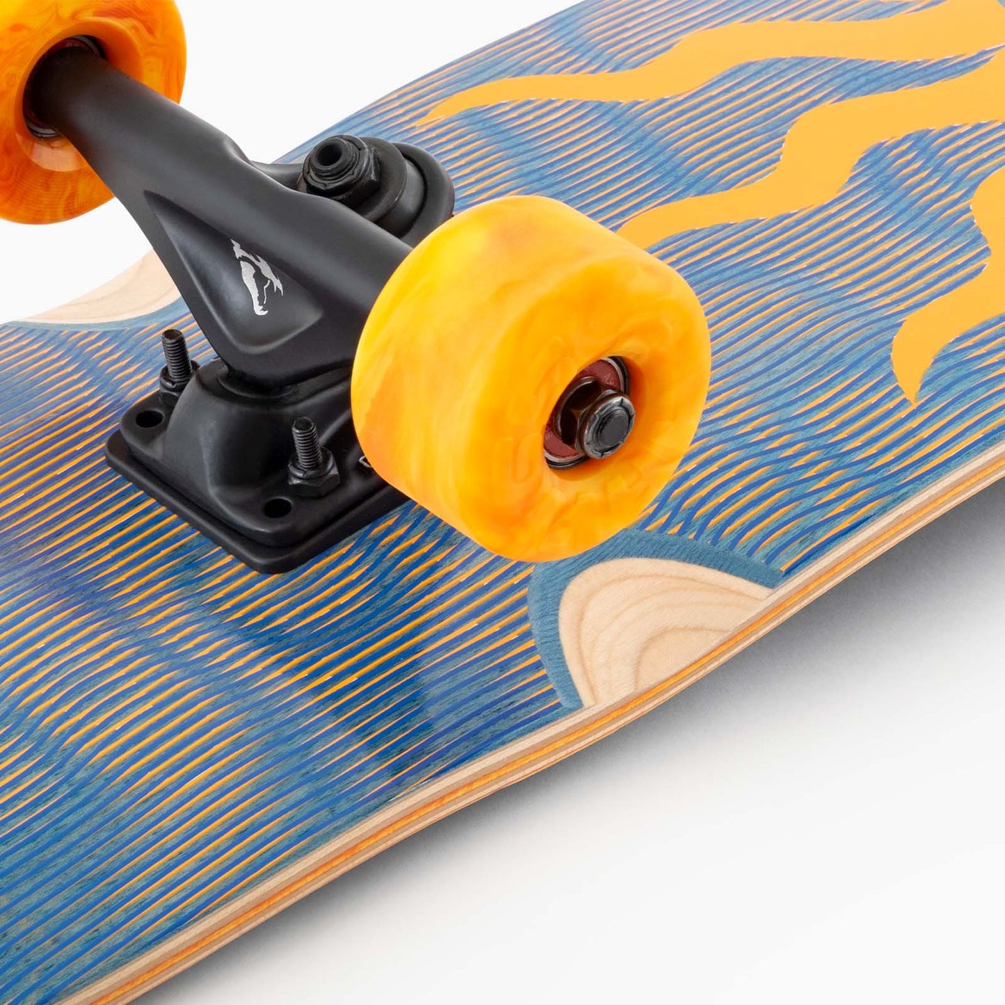 LANDYACHTZ - Rally kitty Sun Jam - Completa